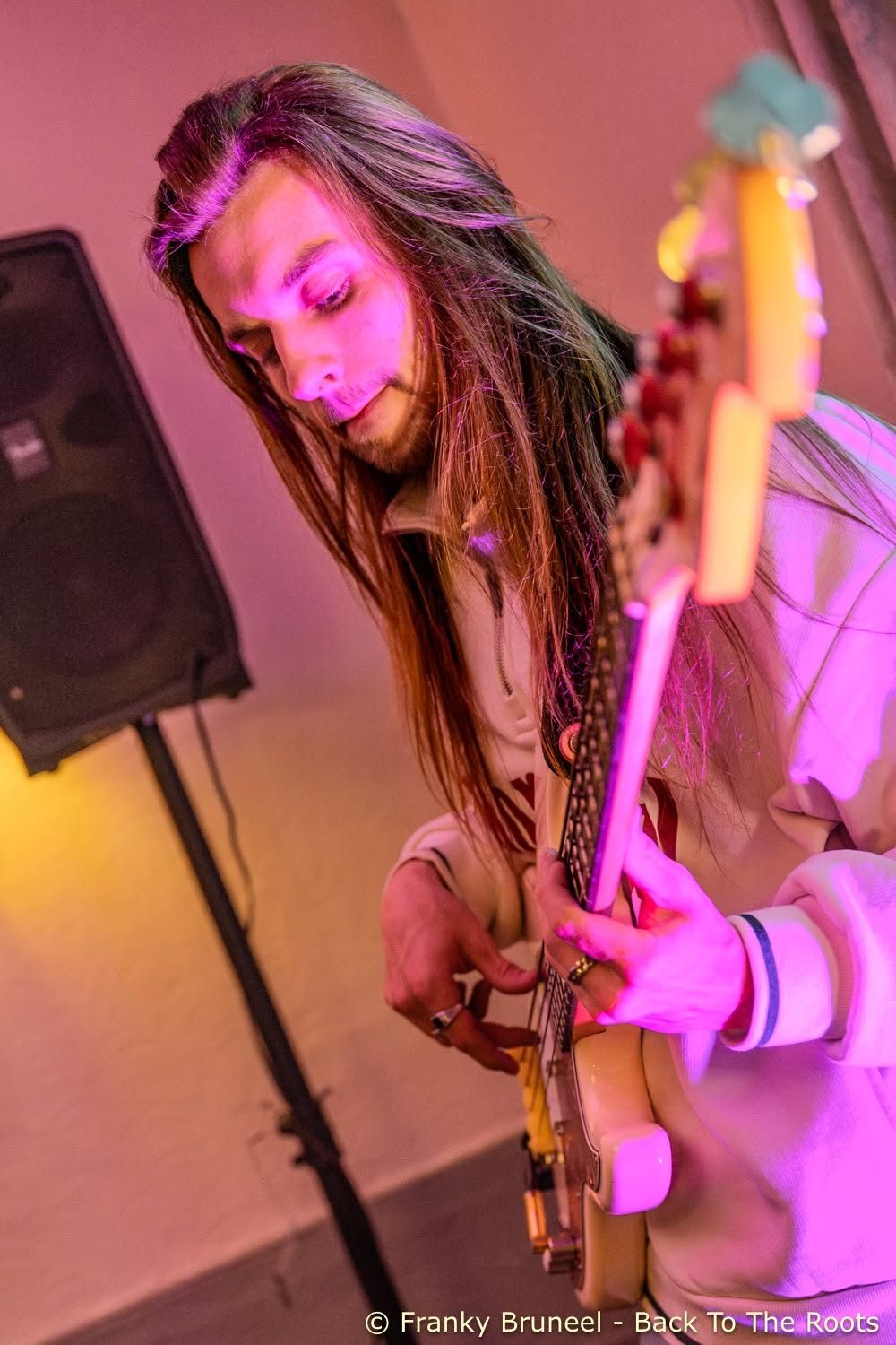 Wolf d'Anvers live op bas onder roze licht